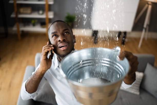 Best Mold removal after water damage  in Pelion, SC