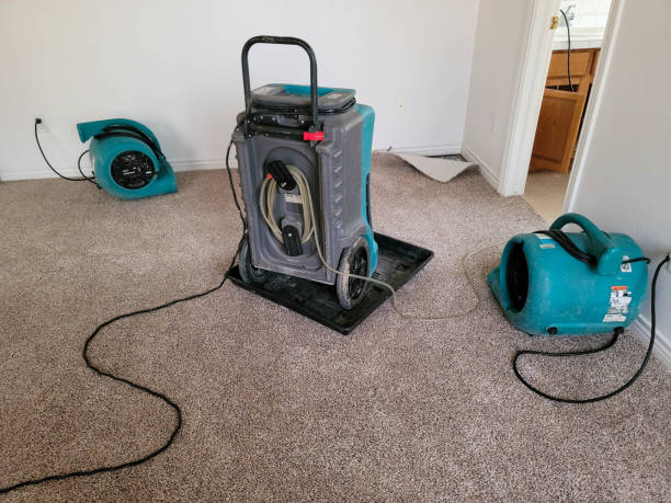 Best Residential water damage restoration  in Pelion, SC