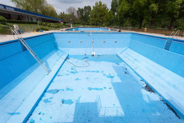 Best Water damage restoration company  in Pelion, SC