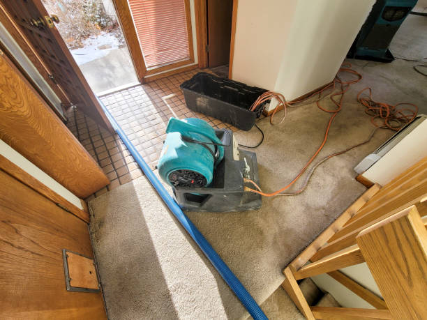 Best Flooded house restoration  in Pelion, SC