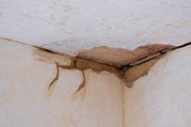 Best Emergency water damage restoration  in Pelion, SC