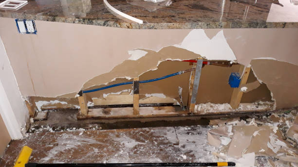  Pelion, SC Water damage restoration Pros
