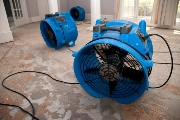 Best Fire Damage Restoration  in Pelion, SC