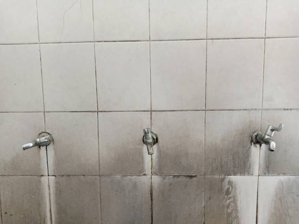 Best Water damage restoration services  in Pelion, SC