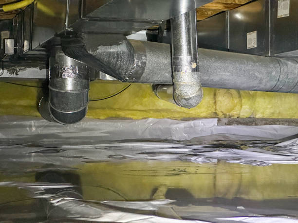 Best Sewage cleanup and water damage restoration  in Pelion, SC