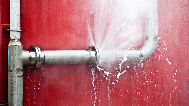 Best Carpet water damage restoration  in Pelion, SC
